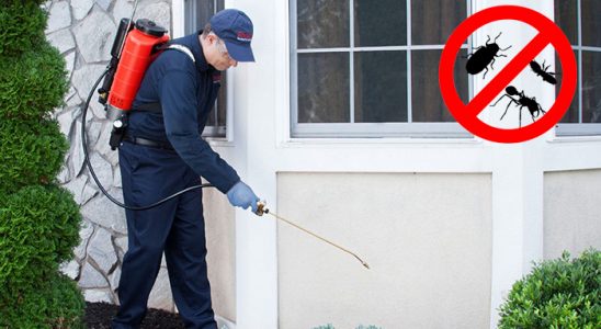 Nurdağı Tahtakurusu İlaçlama böcek ilaçlama ve haşere kontrolü — ilaclama-tr.com